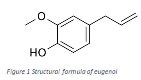 eugenol
